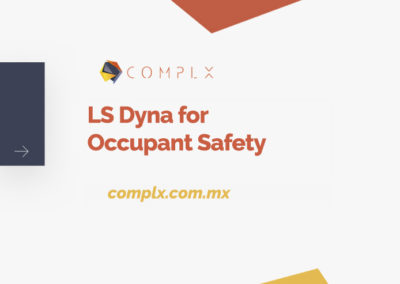 LS Dyna for Occupant Safety